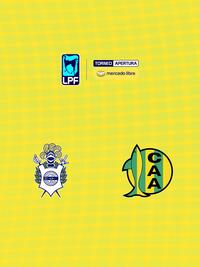 Fútbol Argentino Primera División