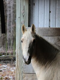 The Incredible Dr. Pol