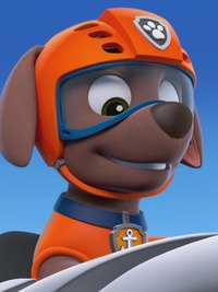 PAW Patrol
