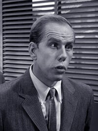 The Andy Griffith Show