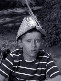 The Andy Griffith Show
