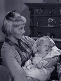 The Andy Griffith Show