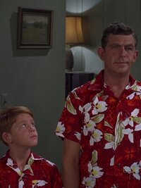 The Andy Griffith Show