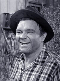 The Andy Griffith Show