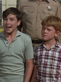 The Andy Griffith Show