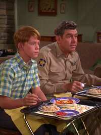 The Andy Griffith Show