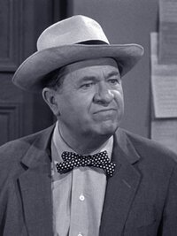 The Andy Griffith Show