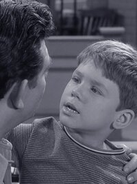 The Andy Griffith Show