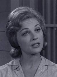The Andy Griffith Show