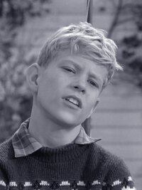 The Andy Griffith Show