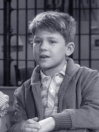 The Andy Griffith Show