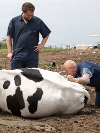 The Incredible Dr. Pol