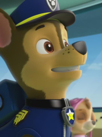 PAW Patrol