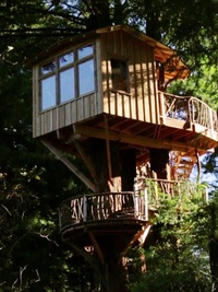 Treehouse Masters
