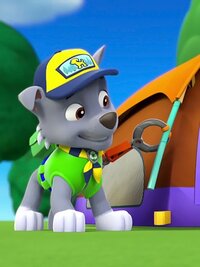 PAW Patrol