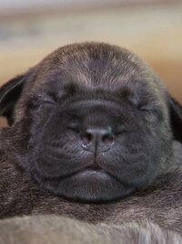 Too Cute!