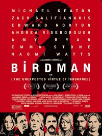 Birdman or (The Unexpected Virtue of Ignorance)