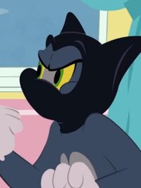 The Tom and Jerry Show