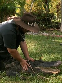 Gator Boys