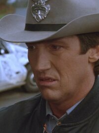 In the Heat of the Night