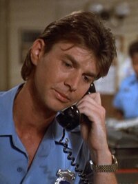 In the Heat of the Night