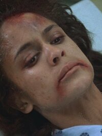 In the Heat of the Night