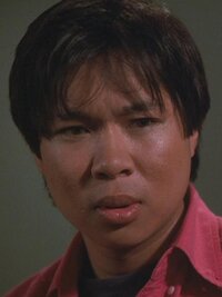 In the Heat of the Night