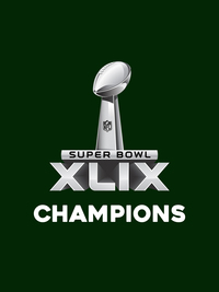 Super Bowl XLIX Champions