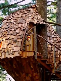 Treehouse Masters