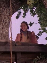 Little House on the Prairie
