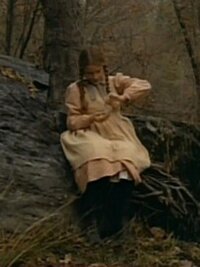 Little House on the Prairie
