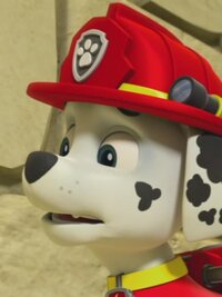 PAW Patrol