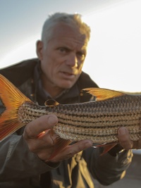River Monsters