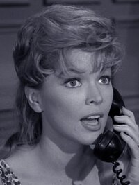 Perry Mason