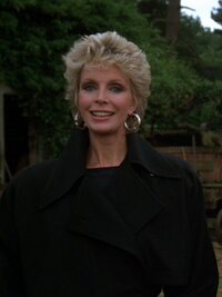 Remington Steele