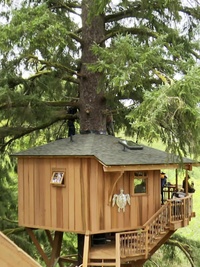 Treehouse Masters