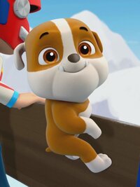 PAW Patrol