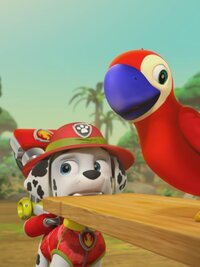 PAW Patrol