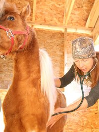 Dr. Oakley, Yukon Vet