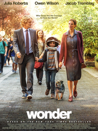 Wonder