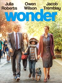 Wonder