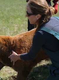 Dr. Oakley, Yukon Vet