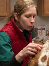 The Incredible Dr. Pol