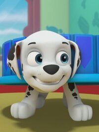 PAW Patrol