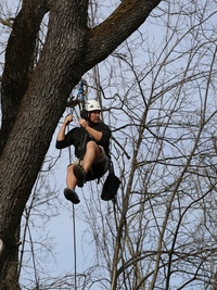 Treehouse Masters
