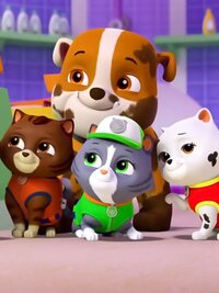PAW Patrol