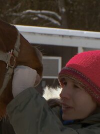 The Incredible Dr. Pol