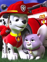 PAW Patrol