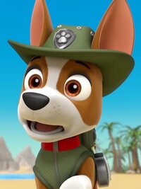 PAW Patrol