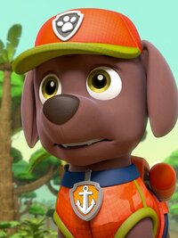 PAW Patrol